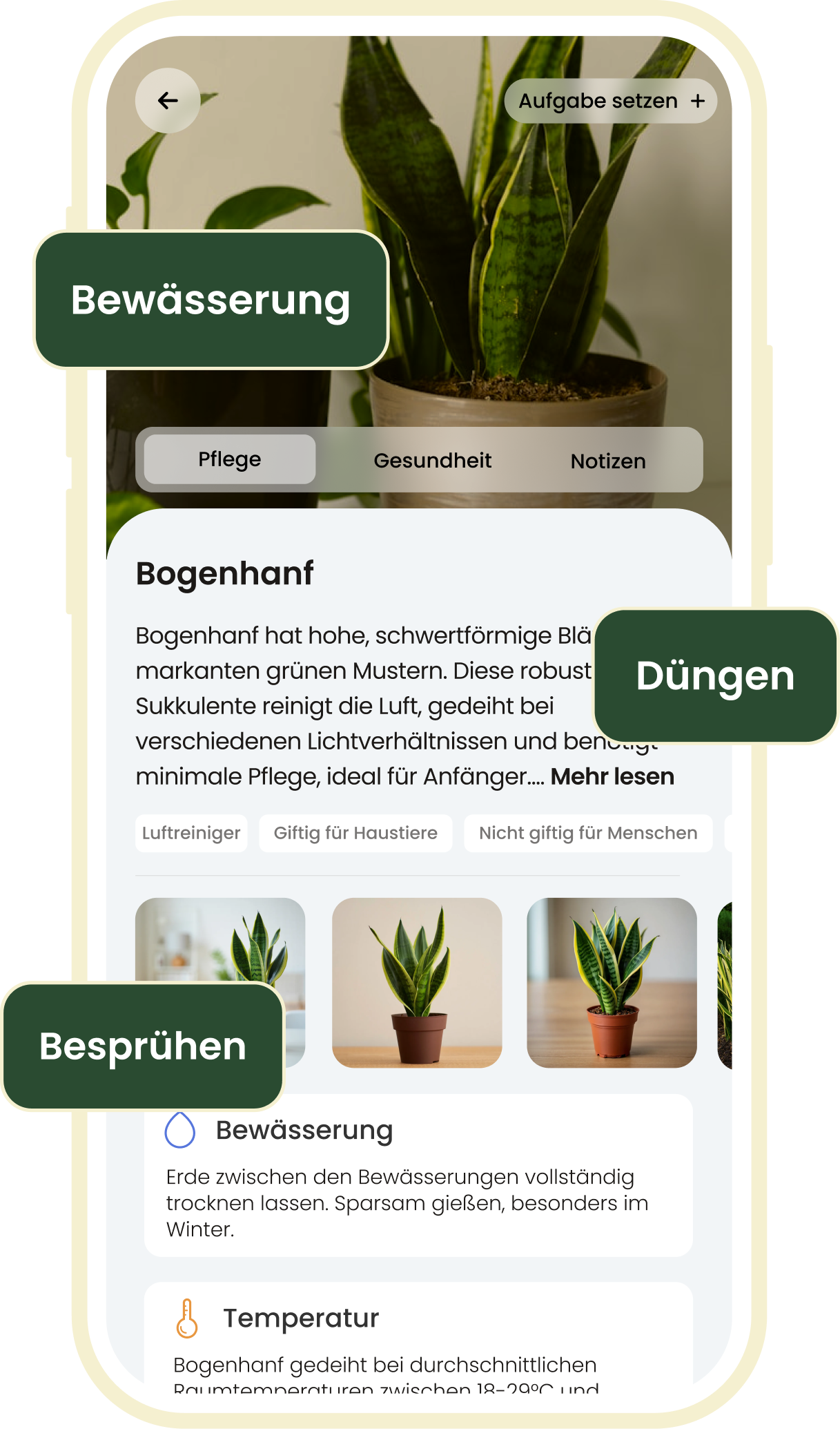 Personalisierter Pflanzenpflegeplan in der Plant-ID-App