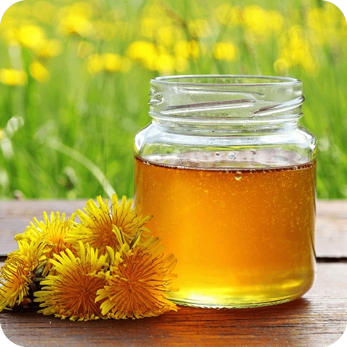 Glas mit goldenem Löwenzahnhonig und frischen Blüten